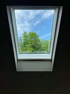 Window & Door Upgrades